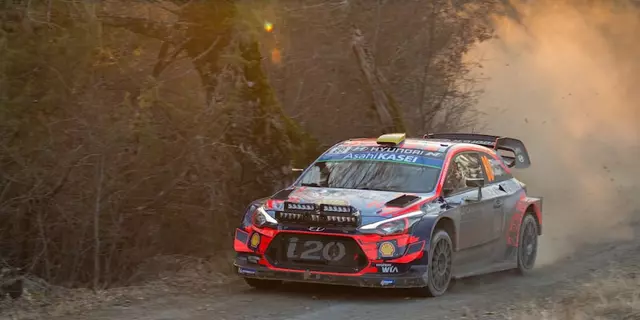 How much would a professional rally car cost to buy?